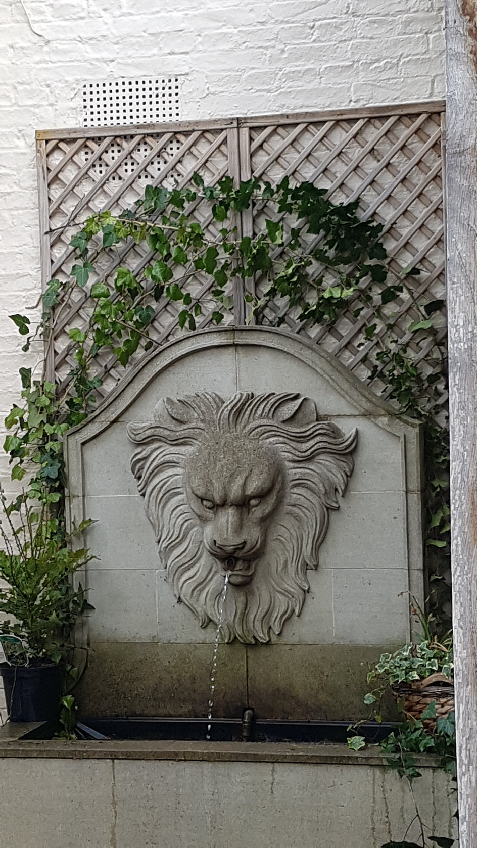 Lions Head & Trough Fountain. (Sandstone)