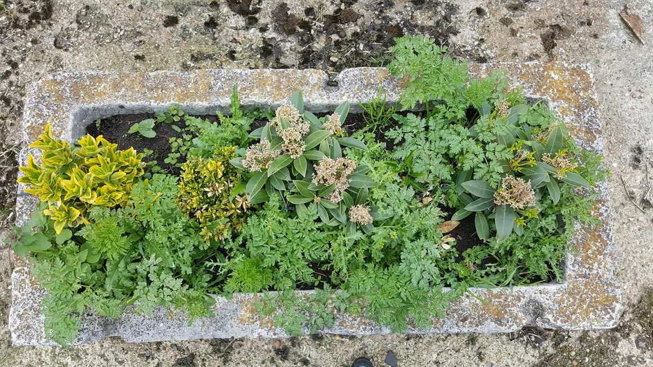 Antique stone trough 019.     1640 mm (L)