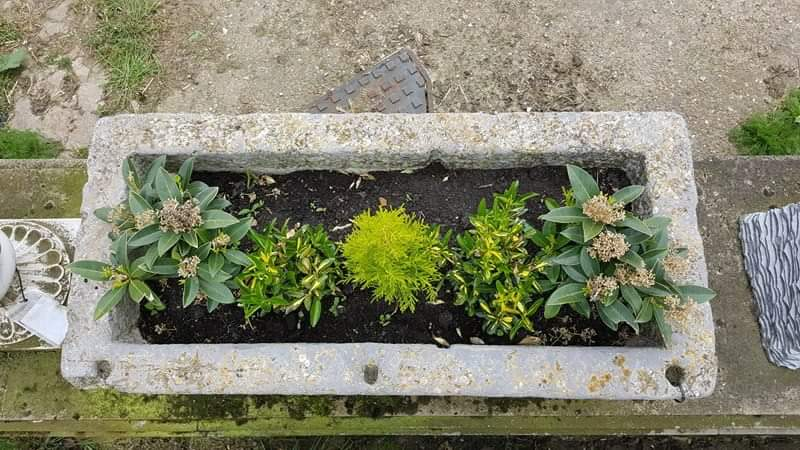 Antique Stone Trough 015.     1180 mm (L)